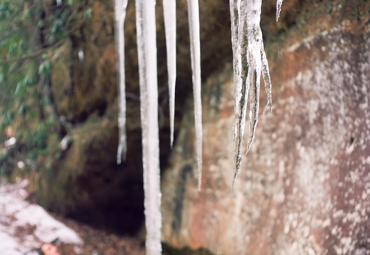 Ice on the Sheltowee Trace